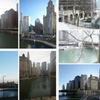 2011-2012 Chicago