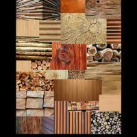 Introducción a la madera