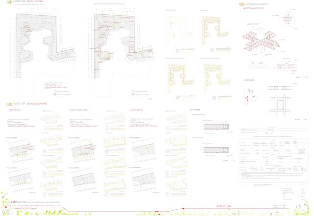 P13.jpg