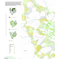 Trabajo titulado: Activación Forestal