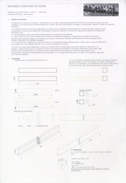 Concurso de rotura de vigas y emparillados 6