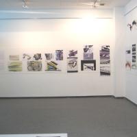 IMG_4465.JPG